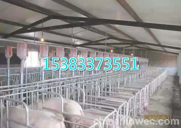 自动料线