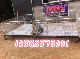 保育床用于35日龄断奶后仔猪培育使用