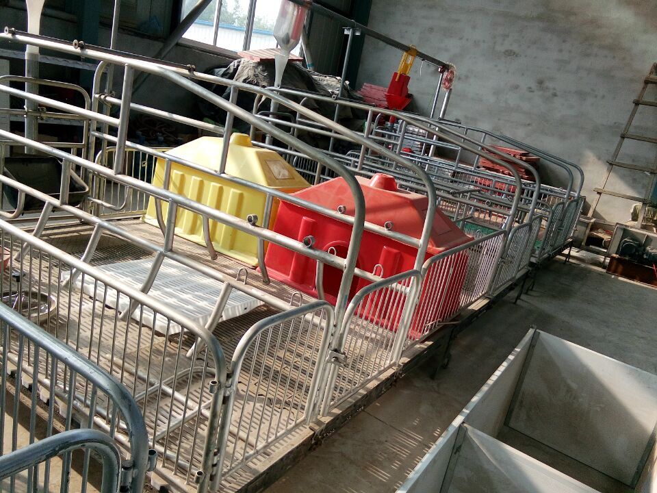 母猪产床的厂家