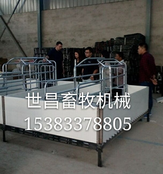 热镀锌2.5欧式母猪产床供应设计生产厂家