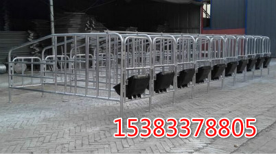 限位栏厂家 母猪定位栏 限位栏养猪 养猪设备厂家