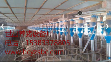 自动化上料系统自动养猪系统
