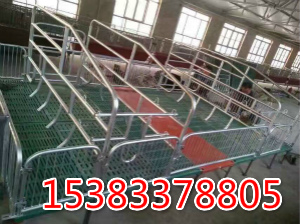 养猪设备产床母猪产床双体猪产床