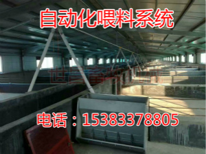 养猪设备自动化喂料线