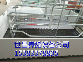 猪场新型欧式单体栏