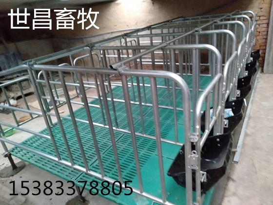 猪用定位栏设备生产批发厂家