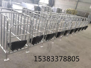 猪用限位栏带漏粪板供应厂家