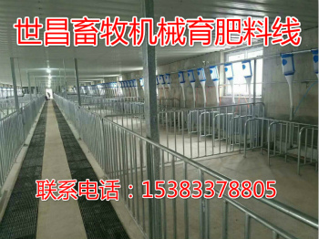 猪场新建自动化喂料线设计厂家