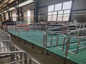 养殖猪场保育床连体安装   
