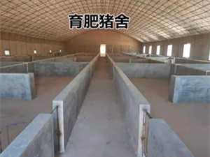 猪场定位栏安装自动化供料系统厂家