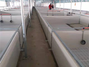 欧式母猪分娩产床PVC围栏