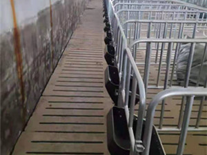 猪场设备连体定位栏带料槽