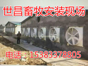 风机批发厂家