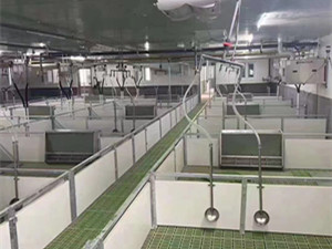 猪场水位器价格