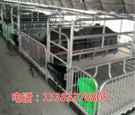 厂家供应母猪产床